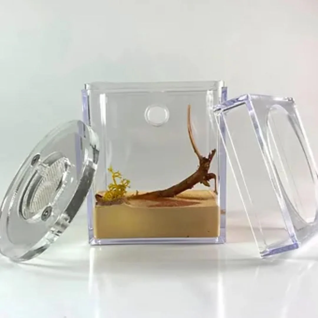 Image du produit 10