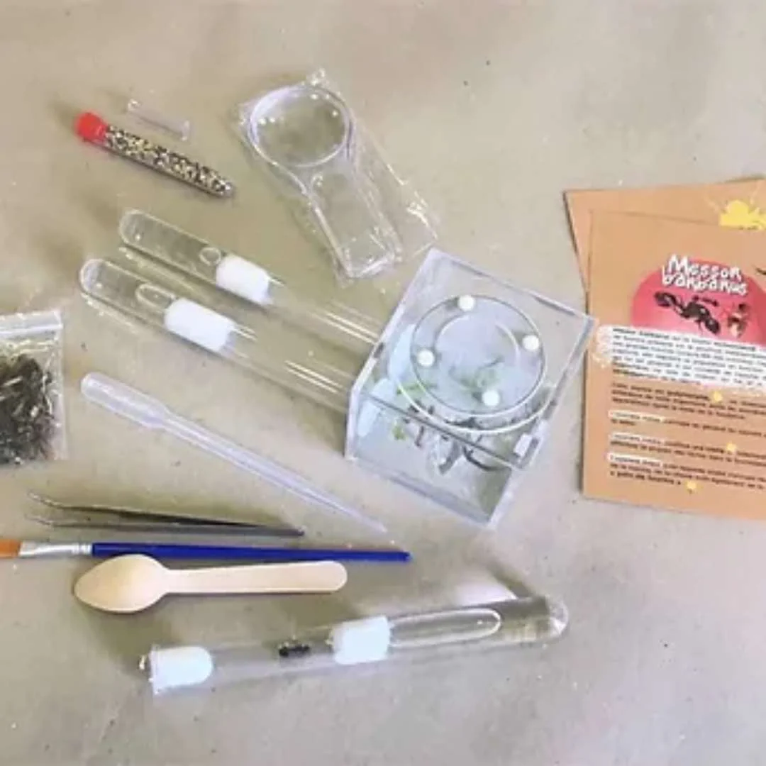 Image du produit 5